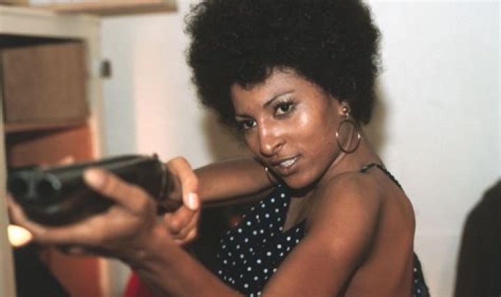 Pam Grier Biography - Facts, Childhood, Family Life & Achievements